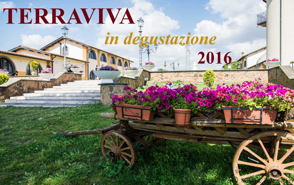 terraviva_2016-001
