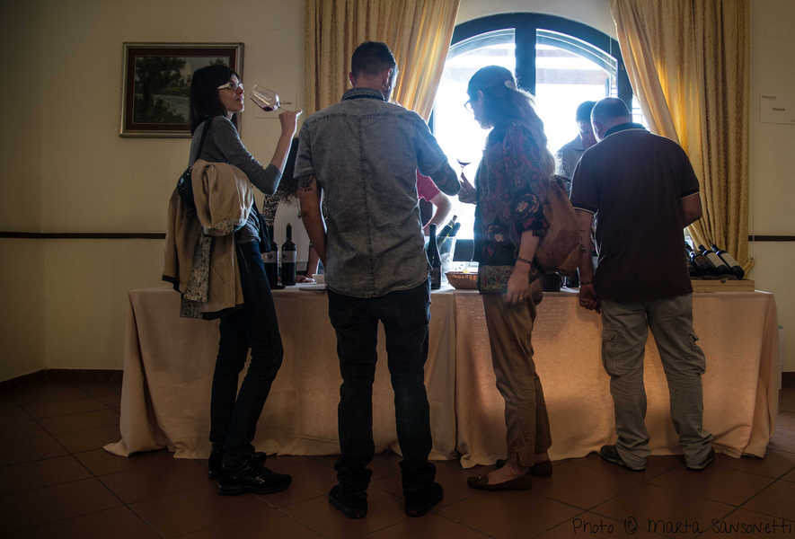 terraviva_2016-15