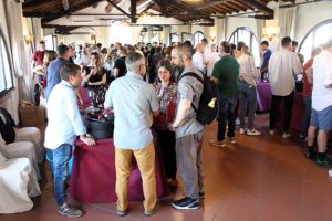 IMG_6351 (Copy)