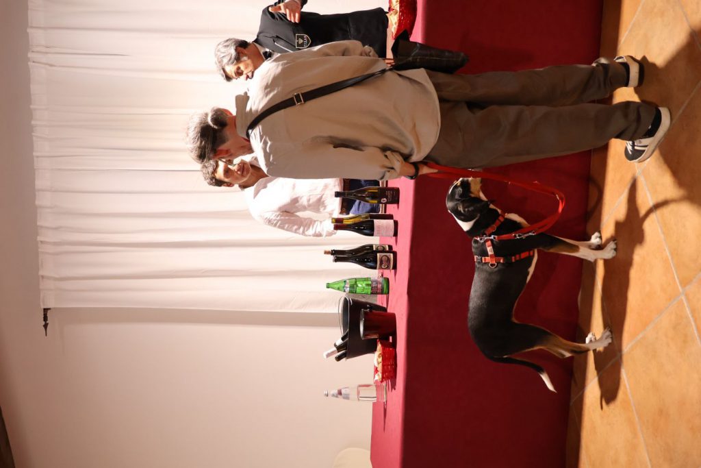 resized_IMG_8849
