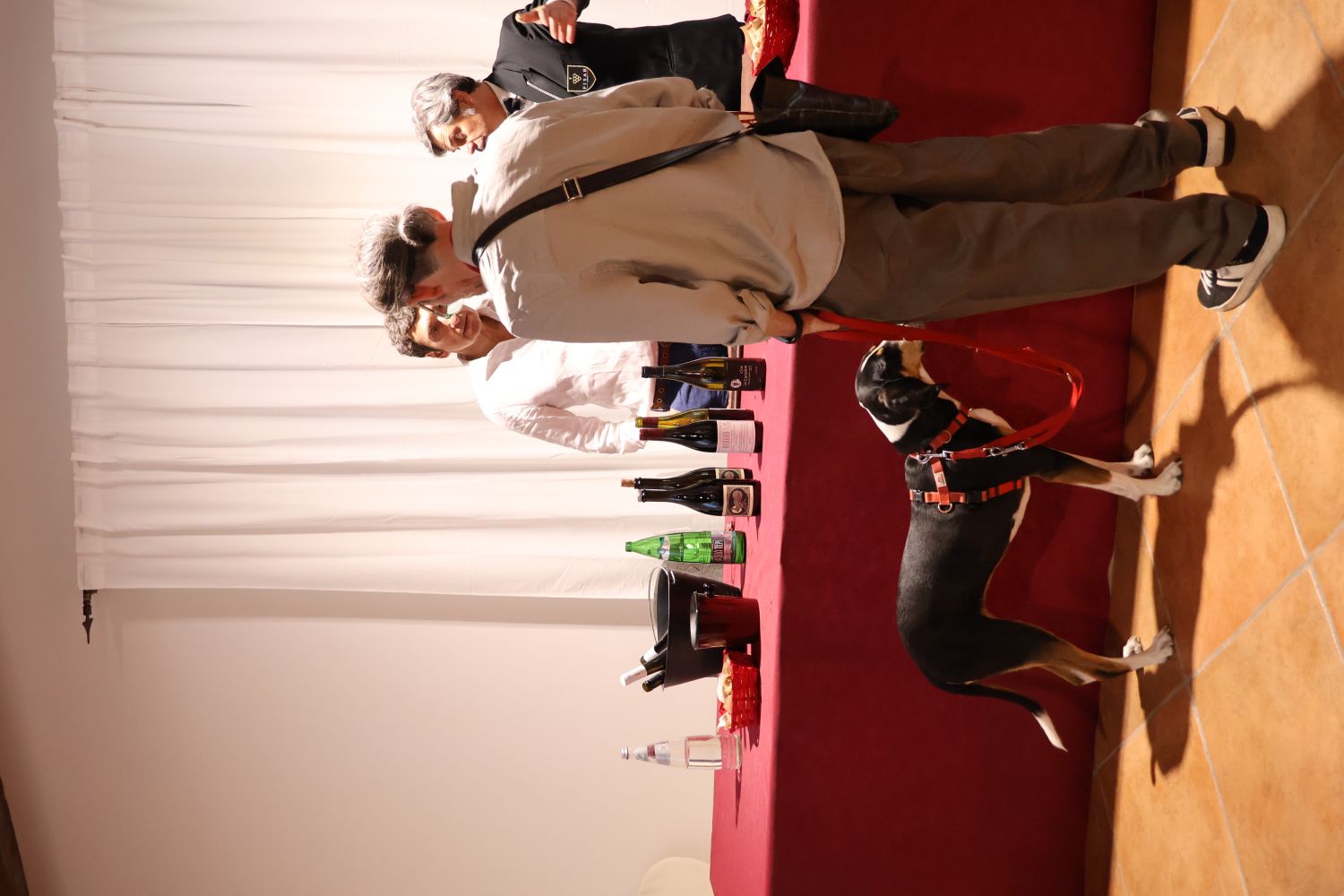 resized_IMG_8849
